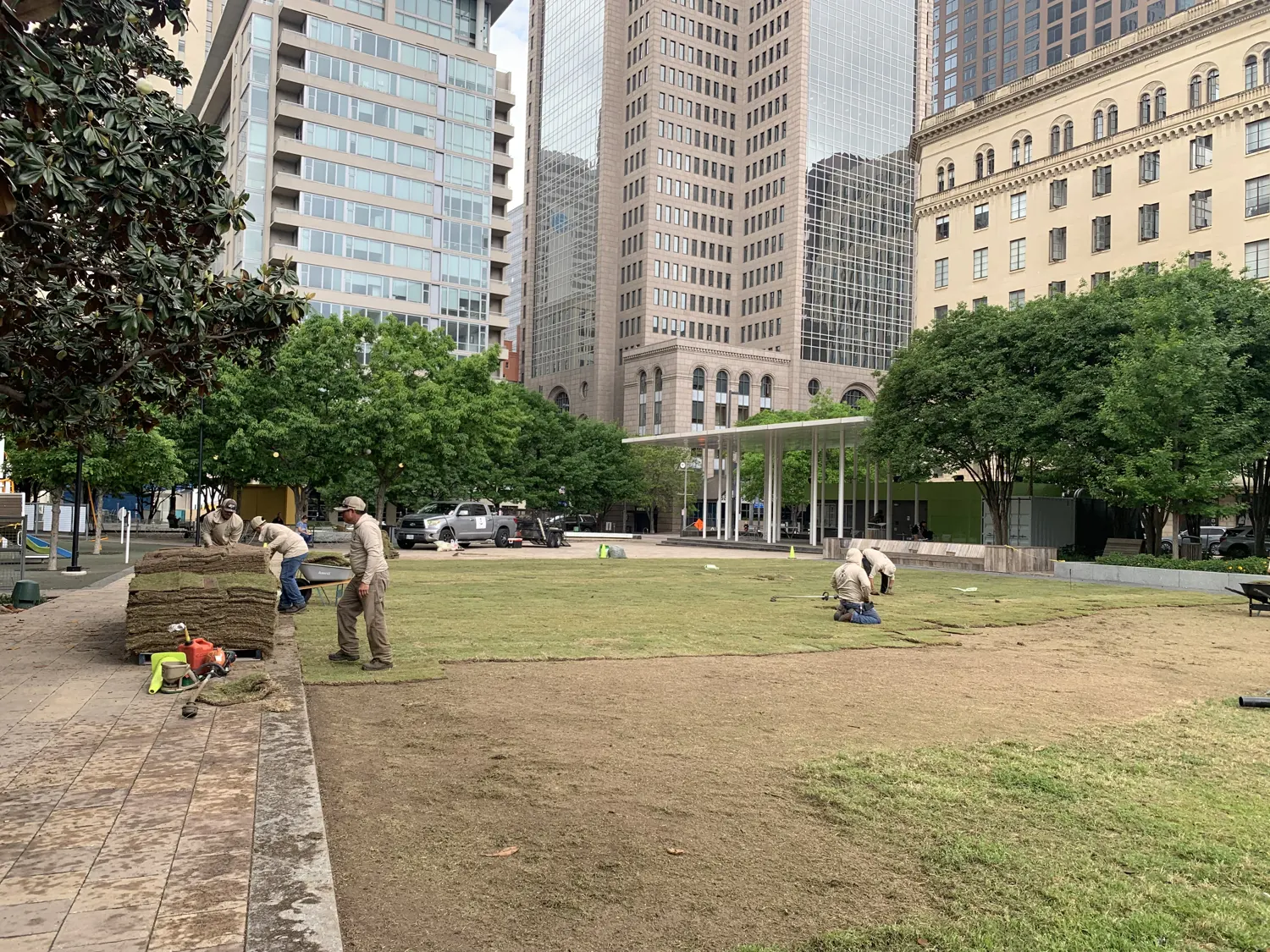 Workers laying turf on an urban lawn, with the job still in progress