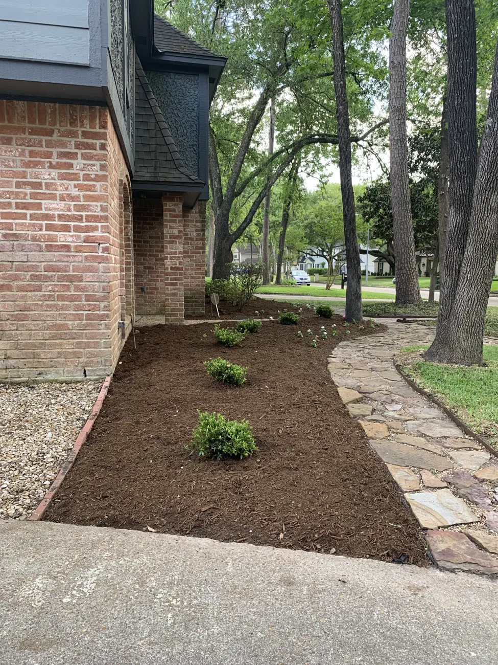 Mulched planting beds and small plants along a stone-edged path beside a brick house